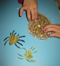 kopie---img_2028.jpg